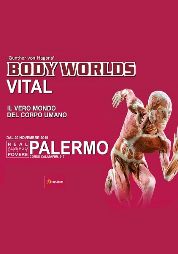 CULTURITALY SRL - Mostra Body Worlds