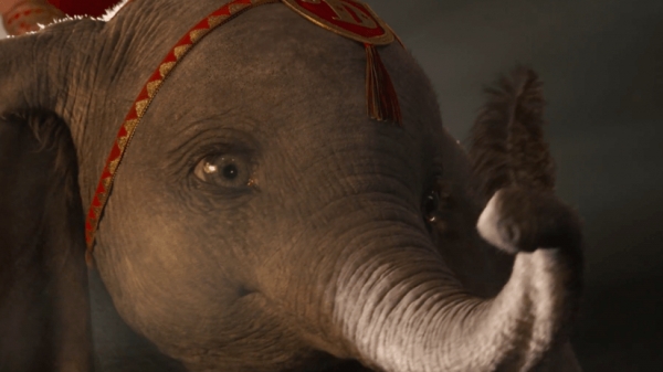 Film Prima Visione DUMBO - Multisala "Al Politeama" 17 Aprile 2019
