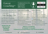 Forest Coaching