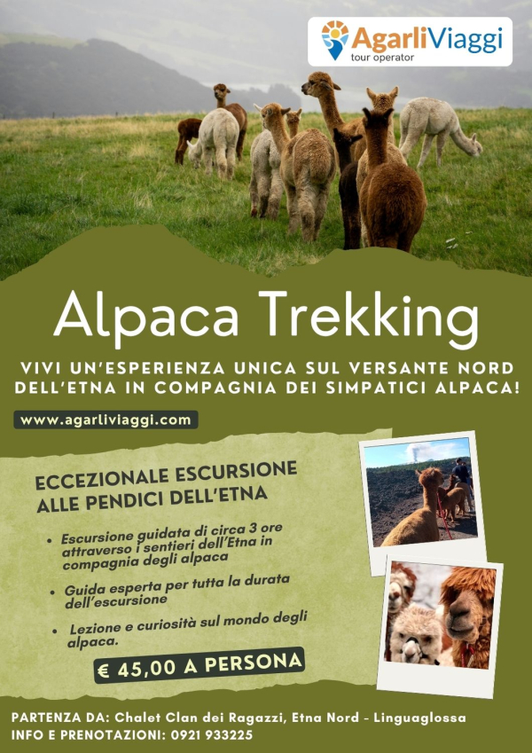 Alpaca Trekking - Escursione Etna (CT)